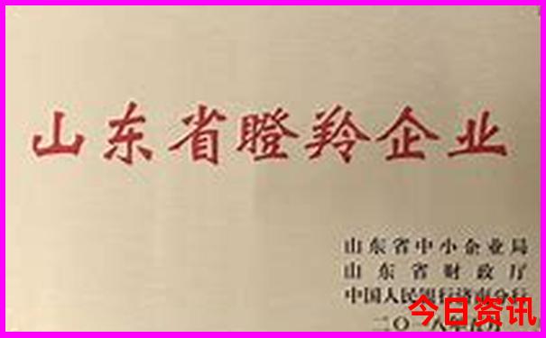 四川最出名的景点